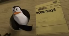 1760113527018.png